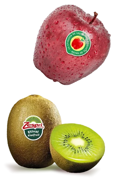 seccion-etiqueta-fruta-Etival